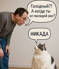 Группа котов, по предварительному сговору...