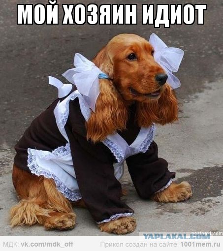 ЯПовцы, помогайте!