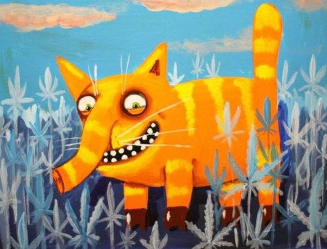 Суровый Афганский ельник