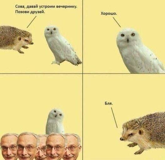 Картинки для деградации 153 (разной степени свежести)