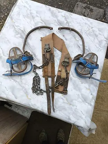 Скутер для подъема по стволу дерева