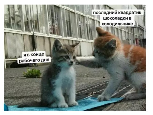Картиночки, баянчики 17 апреля