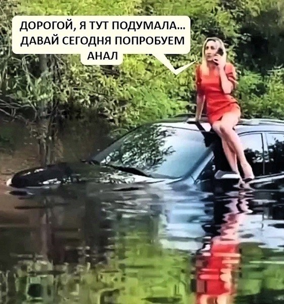 Картиночки, баянчики 15 июня