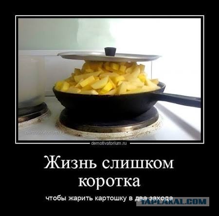Зачем картошку ошпаривают кипятком перед жаркой: приём, о котором молчат профи