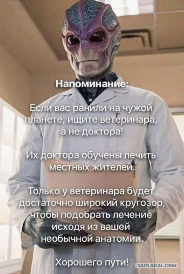 Картинки для деградации 267 (разной степени свежести)