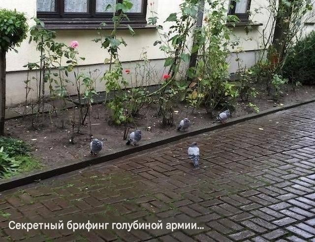 Вы попали на тайное заседание глав теневого правительства