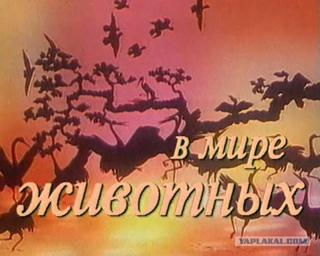 А потом ещё говорят, что женщины только свой интерес ищут