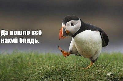 Наркотики  - зло!