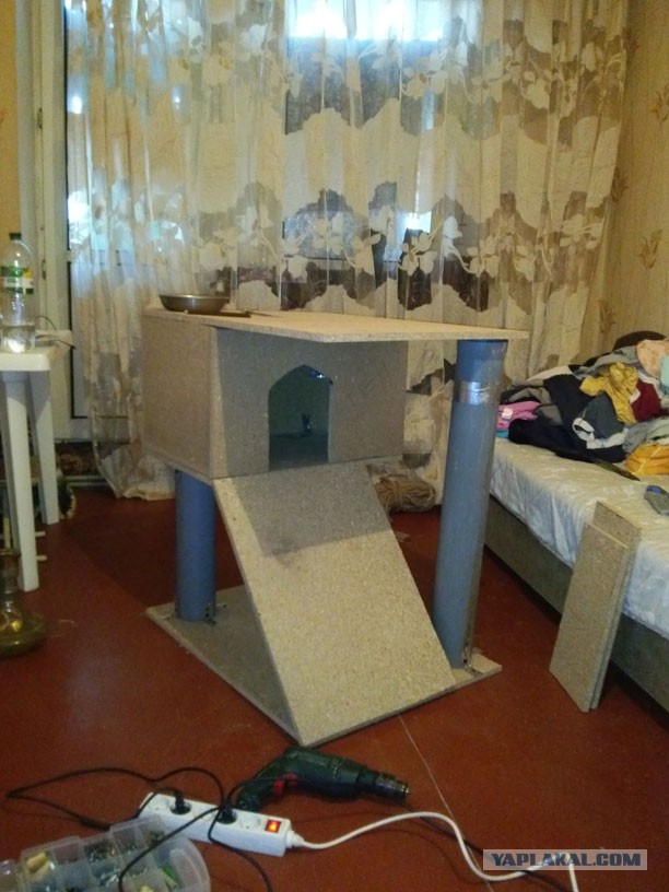 Домик для кота