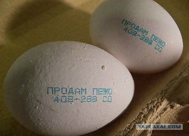 Картинки для настроения