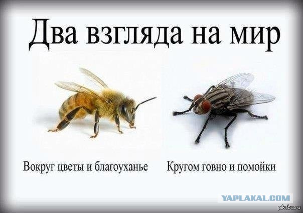 Москвичка - это диагноз, причем самый