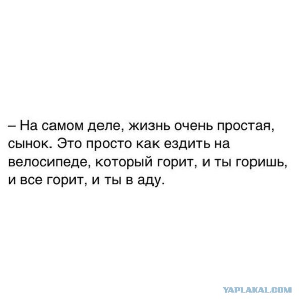 Картинки