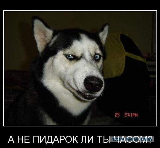 Картинки с просторов на четверг