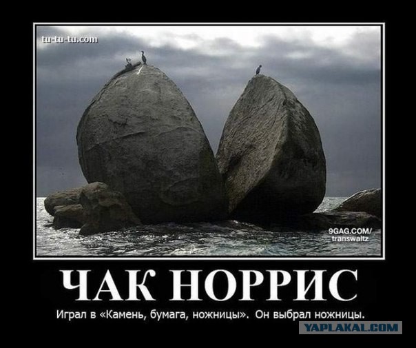 Давно Чака не вспоминали, можно умереть от этого