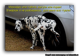 Плюшкиным посвящается