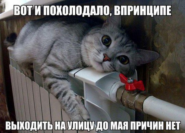 Немного картинок и демотиваторов