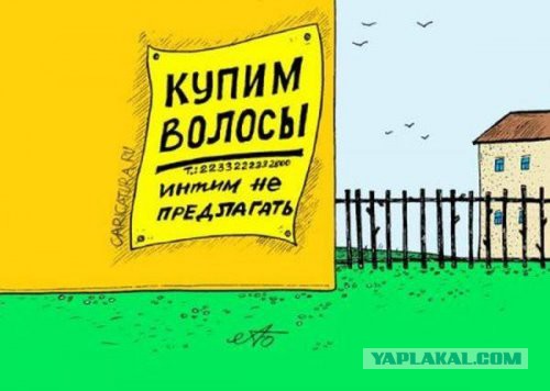 Подборка прикольных фото на среду