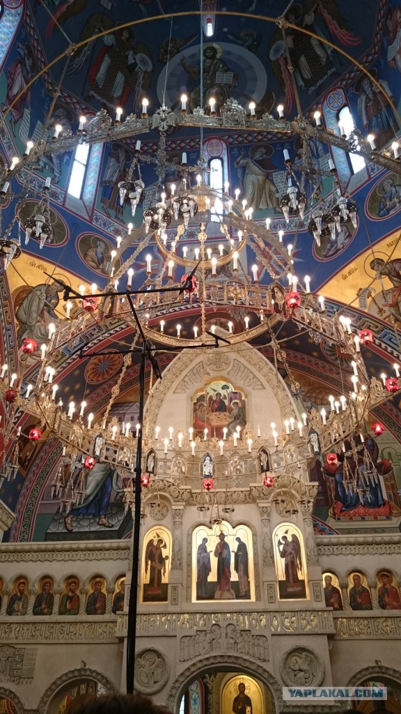 Две недели впечатлений.
