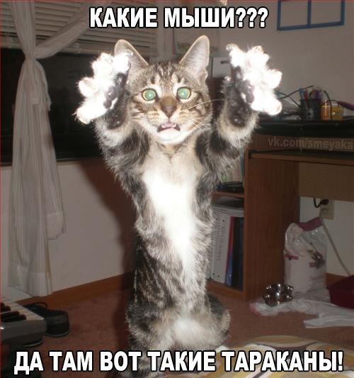 Картинки и демотиваторы