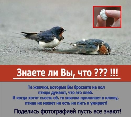 Запретили не мультик "Ну, погоди!", а порнофильм
