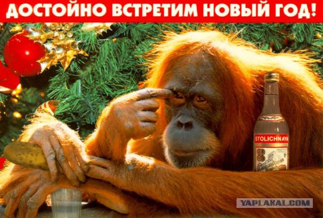 Путин поручил провести соцопрос в Крыму