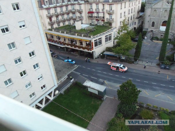 Полиция застрелила водителя ''Мустанга''