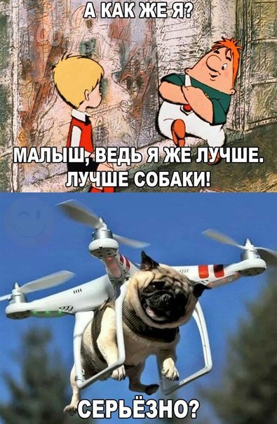 Пучок смешных картинок