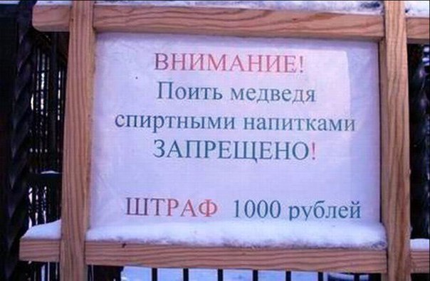 У них действует только одно правило