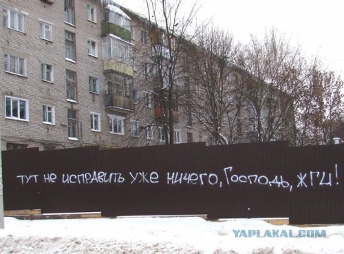 Белякова Кристина ДТП на Кутузовском проспекте
