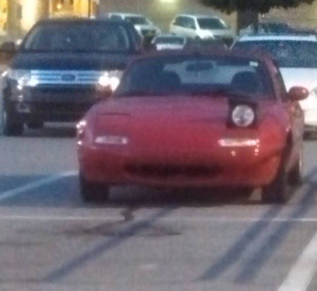 Интересные и веселые картинки