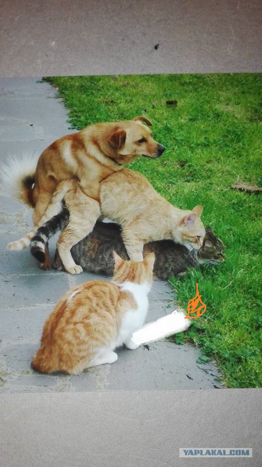 Вот такие дела...