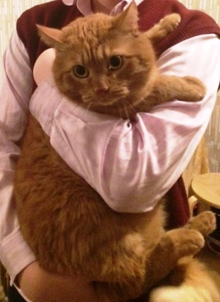 Этот ВЗГЛЯД!