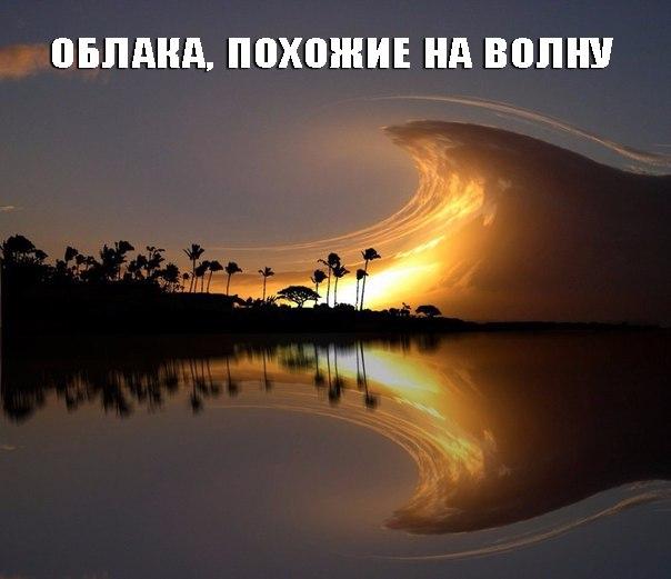 Небольшой микс картинок и гифок .