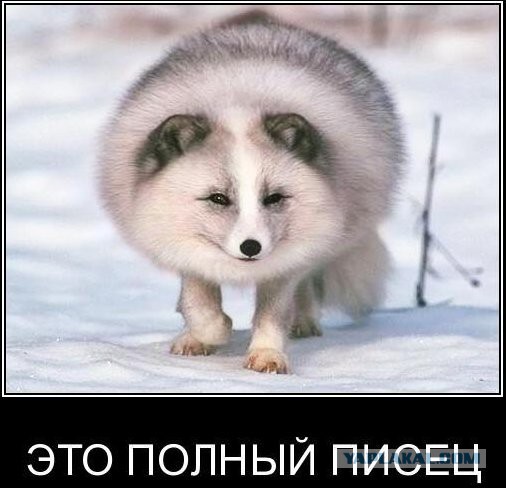 ЧЕ-2016 - финальный раунд. Часть VI. 1/8 финала