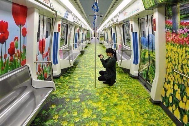 Картинки для отдыха глаз