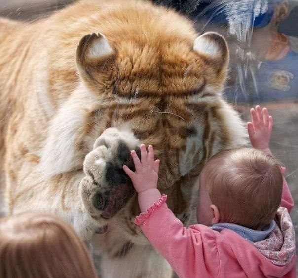 Немного картинок и гифок.