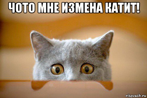 На улице SETI праздник - четкий сигнал от планеты в обитаемой зоне звезды G-типа