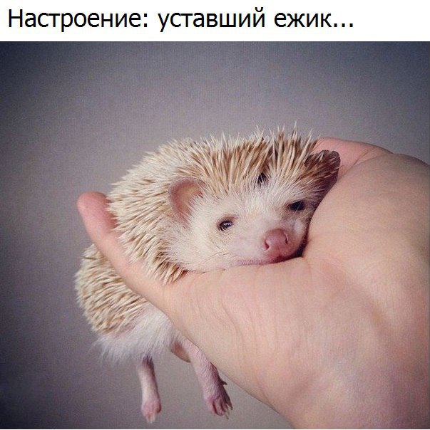 Немного позитива на выходной я начну а вы продолжите