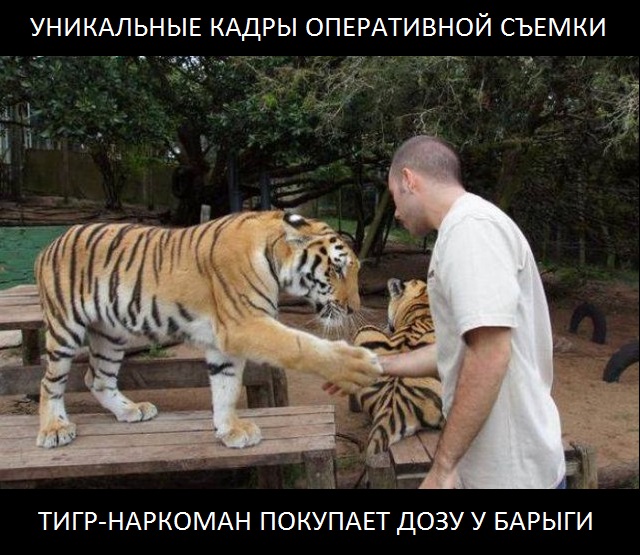 Подборка интересных и веселых картинок