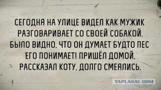 Субботний картиночный винегрет