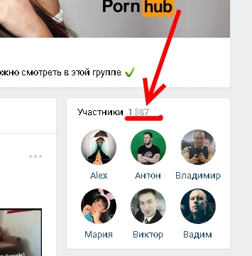 Pornhub отлично стартанул по-русски во Вконтакте