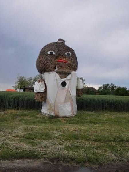 Смешные картинки