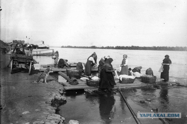 Картинок всяких