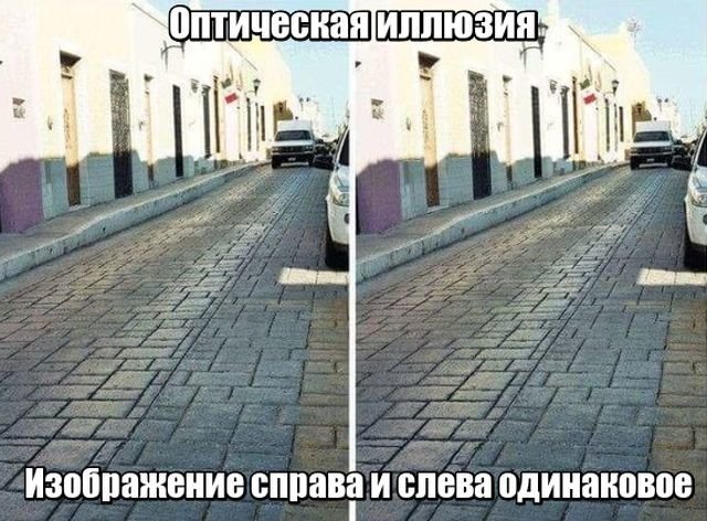 Подборка интересных и веселых картинок