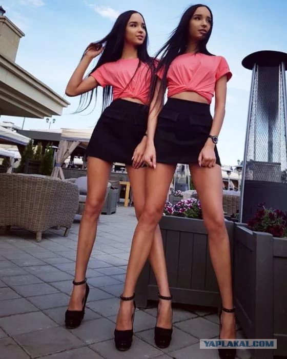 О новом соседе и его двух женах.