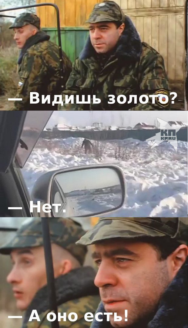 Итоги проверки пользователей