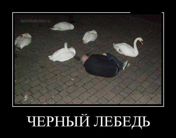 Нестандартный юмор