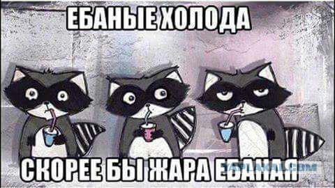 Чутка юмора в картинках