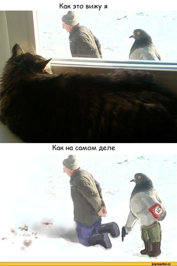 35 оптических иллюзии, получившихся случайно, на которые хочется смотреть снова и снова