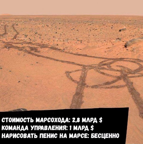 Прикольные картинки обо всём